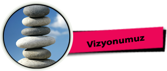 vizyon